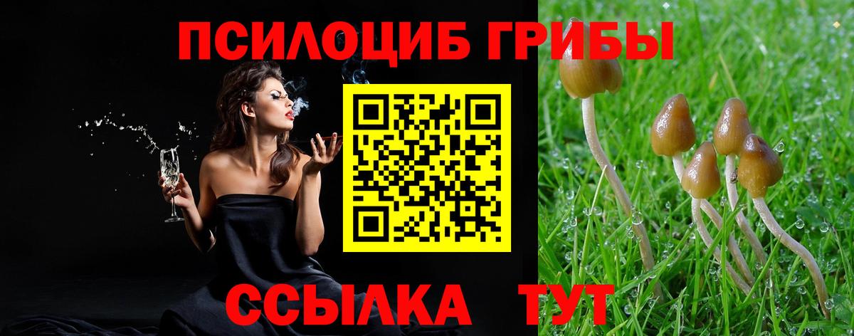 Псилоцибиновые грибы MAGIC MUSHROOMS Щёкино